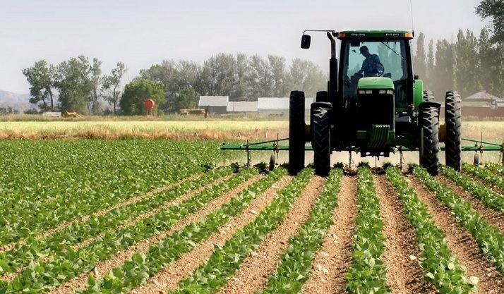 Mar del Plata: Productores agropecuarios exigen "reglas de juego claras"