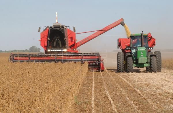 Avanza la cosecha de soja a nivel nacional y ya abarca al 77,6% del área sembrada