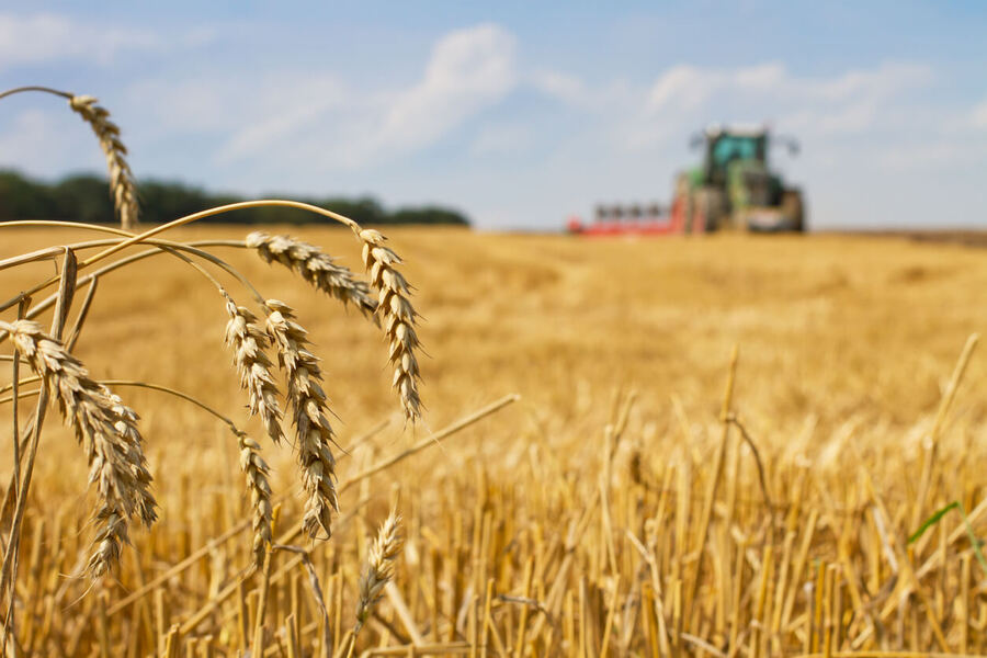 Desarrollo Agrario lanzó la Tercera Campaña de Calidad de Trigo