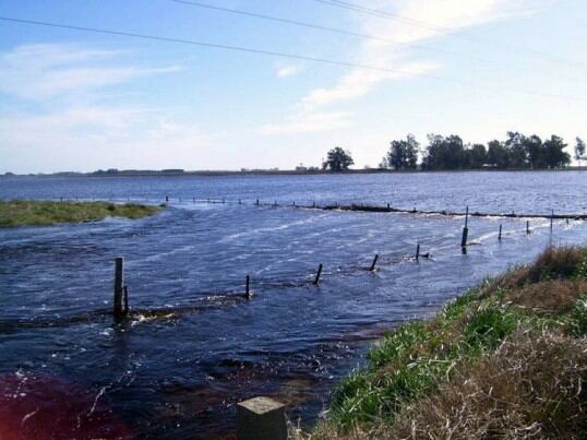Pehuajó: Declaran "emergencia y desastre agropecuario" por las inundaciones