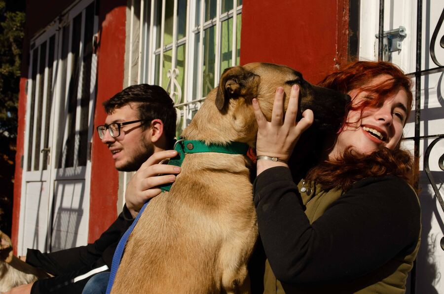 Campana: En el "Día Mundial del Perro", la Comuna promueve la adopción y la tenencia responsable