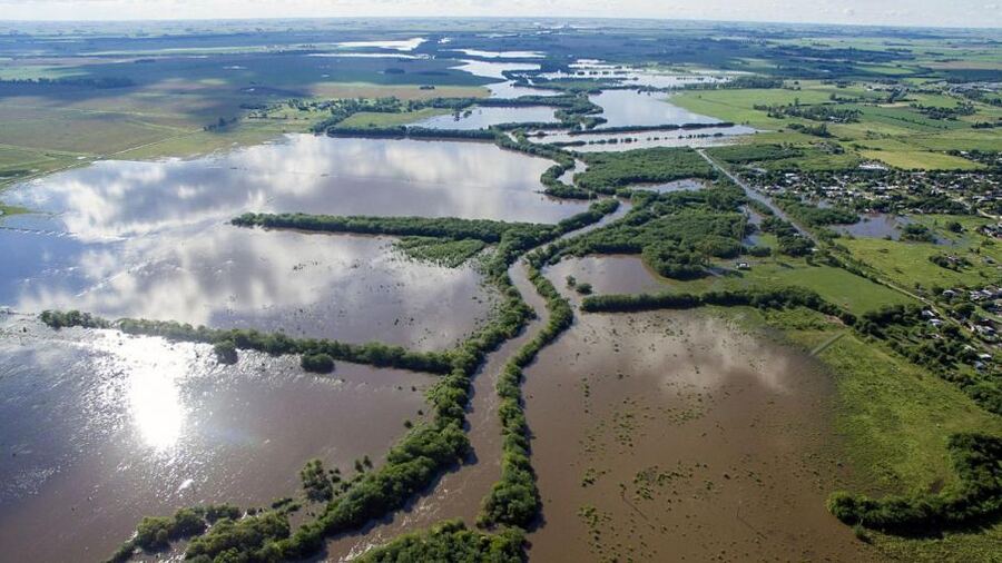 Declaran el "Desastre y Emergencia agropecuaria" en Carlos Casares, Varela y Bolívar