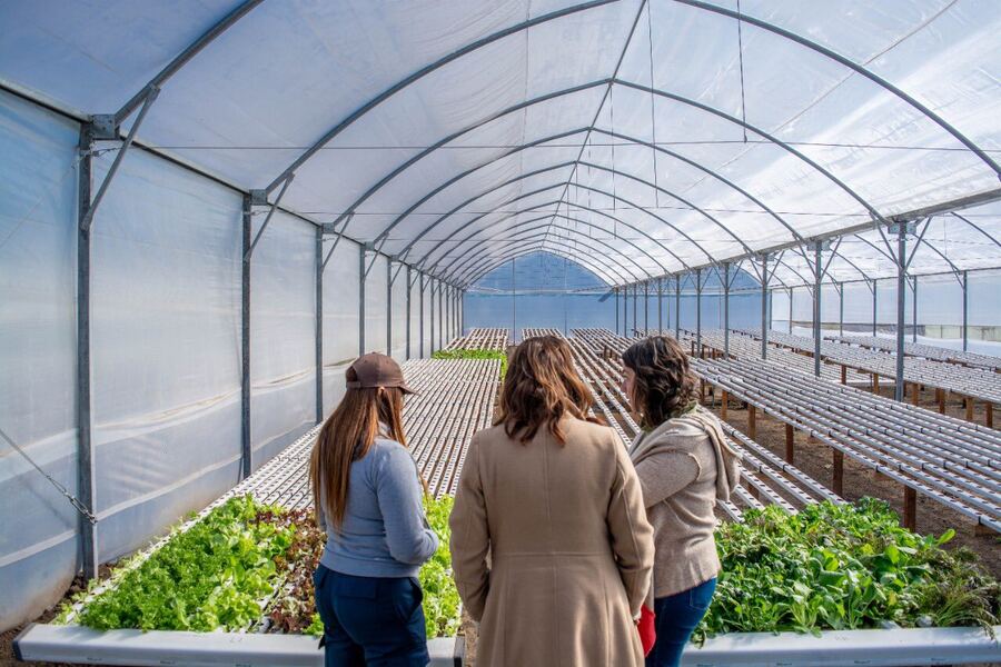 Moreno: Inauguran la segunda etapa del Parque Agrario “Parque del Oeste”