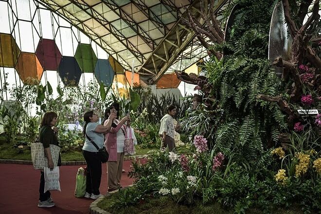 Escobar: Finalizó la Fiesta Nacional de la Flor con récord de visitantes