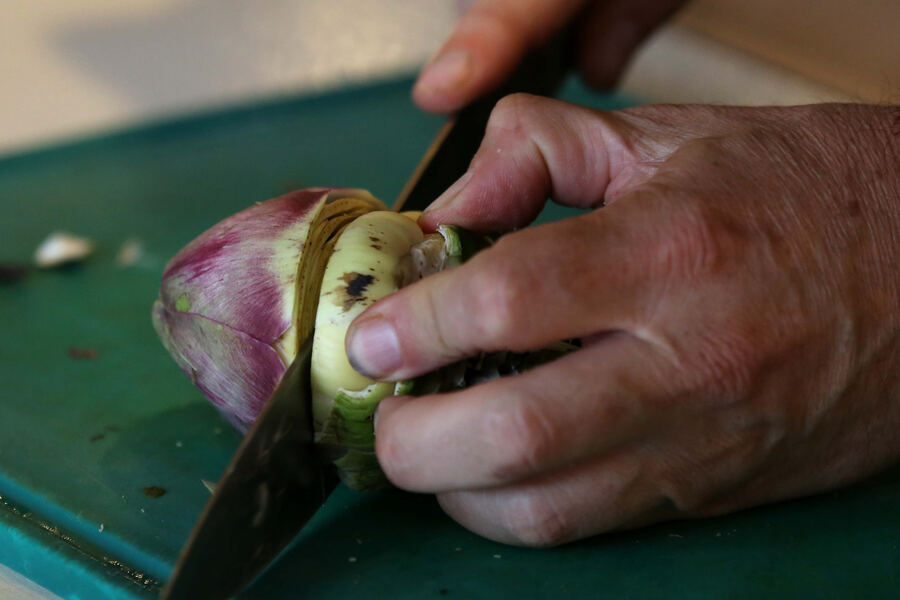 La Plata: Los puestos de comida de las plazas ofrecerán menús vegetarianos y para celíacos