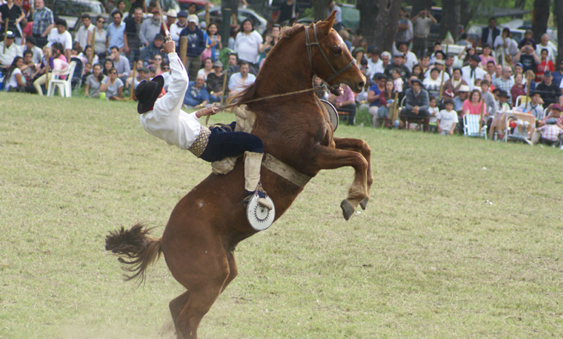 Bragado: Hoy comienza la 51° Fiesta Nacional del Caballo