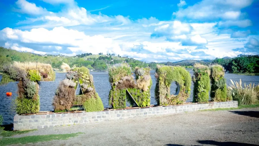 Tandil: Con una variada agenda de actividades el Municipio conmemorará el Día de la Salud Mental