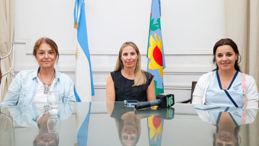 Pergamino: Ya se detectaron 72 casos positivos de Chikungunya y 1 de Dengue