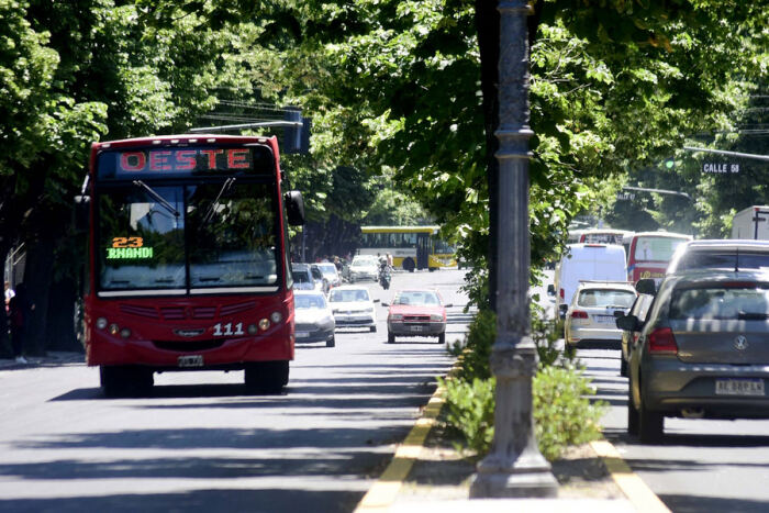 El 11M el transporte será gratis para mujeres en La Plata, Berisso y Ensenada