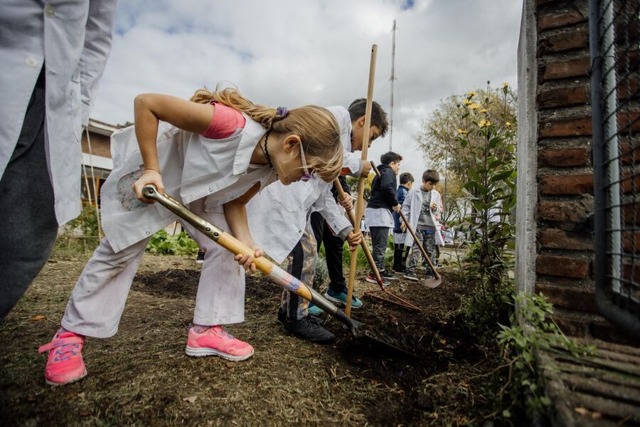 Mar del Plata: El Municipio desarrolla el programa de huertas en escuelas municipales