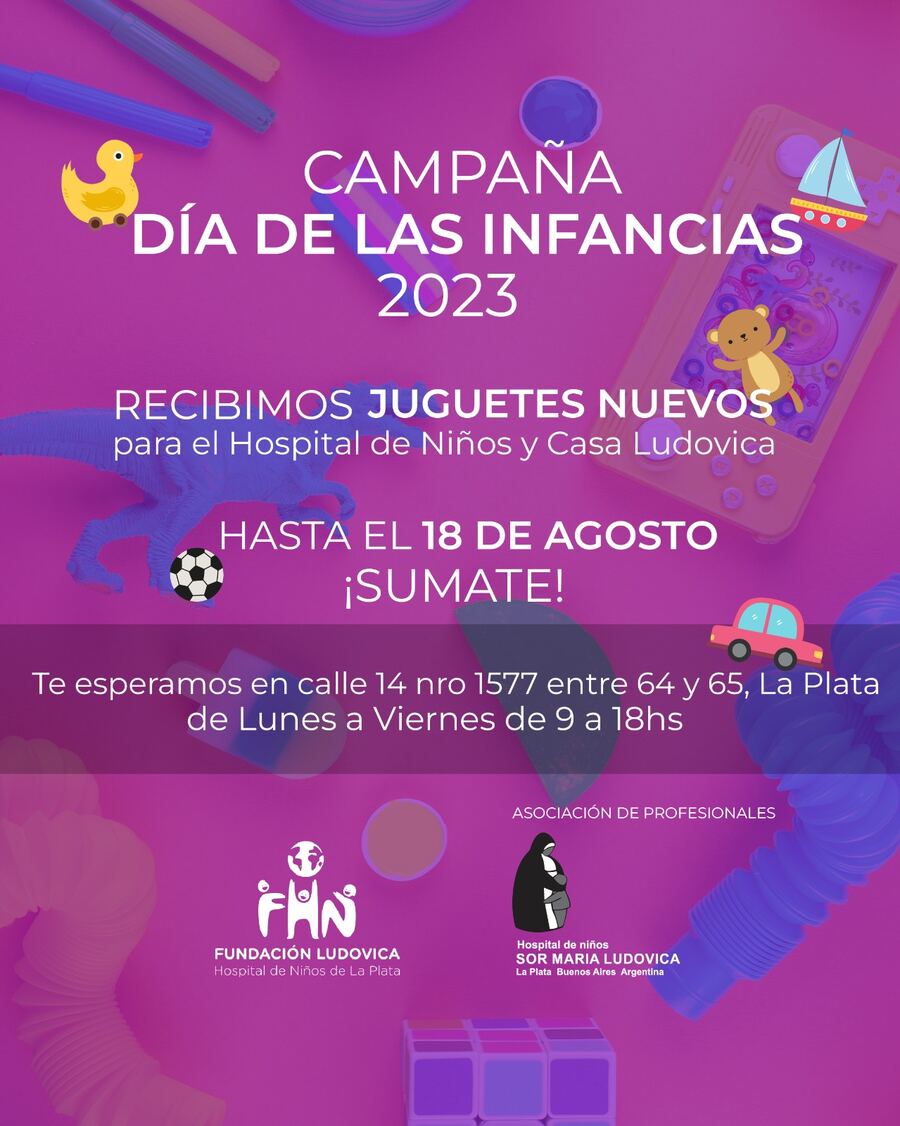 Arranca la colecta de juguetes para el Ludovica.