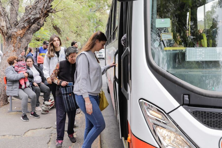 Madariaga: Por las elecciones, habrá traslado gratuito para estudiantes desde Mar del Plata, La Plata y Tandil