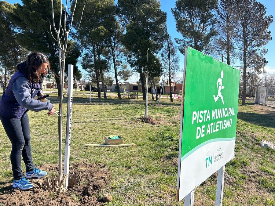 Tornquist: Continúa el Plan de Forestación "1000 árboles en un día"