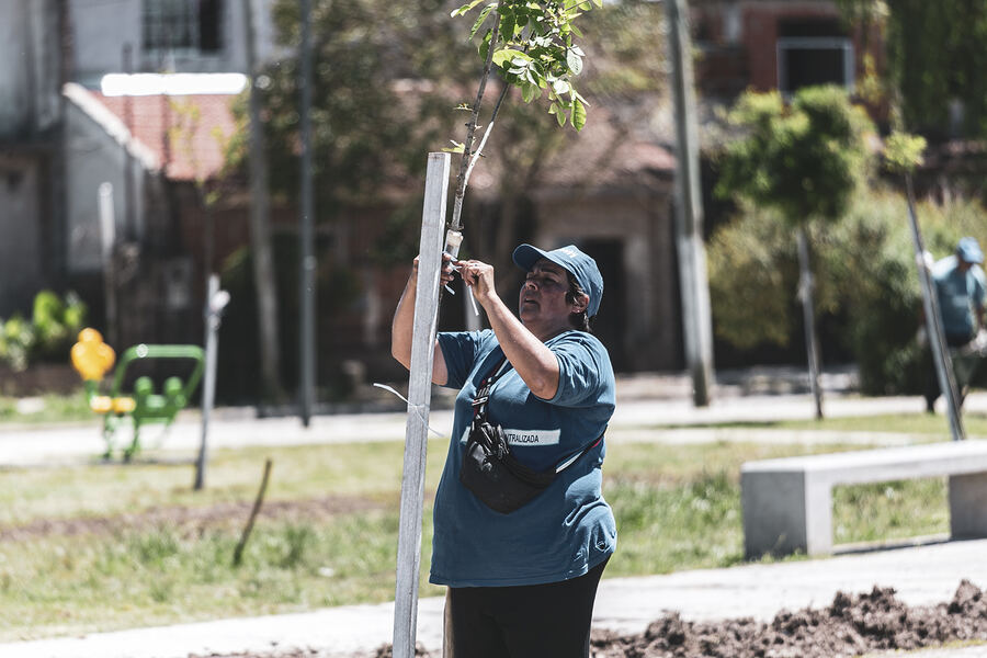 Almirante Brown: Avanza la parquización y forestación en Glew y Longchamps