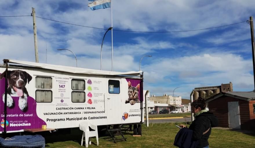 Necochea: El quirófano móvil realizará castraciones gratuitas