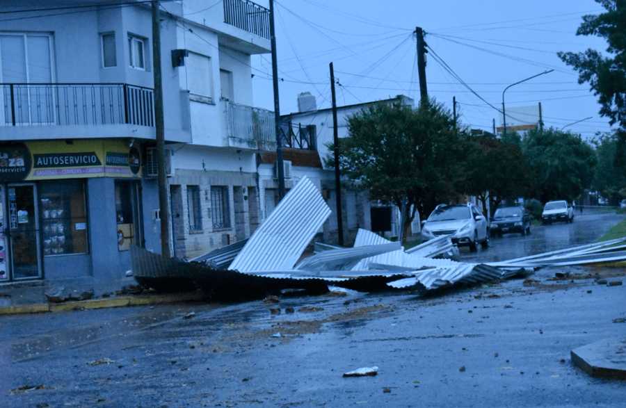 Brandsen: Por el fuerte temporal cayeron árboles y la ciudad quedó sin luz