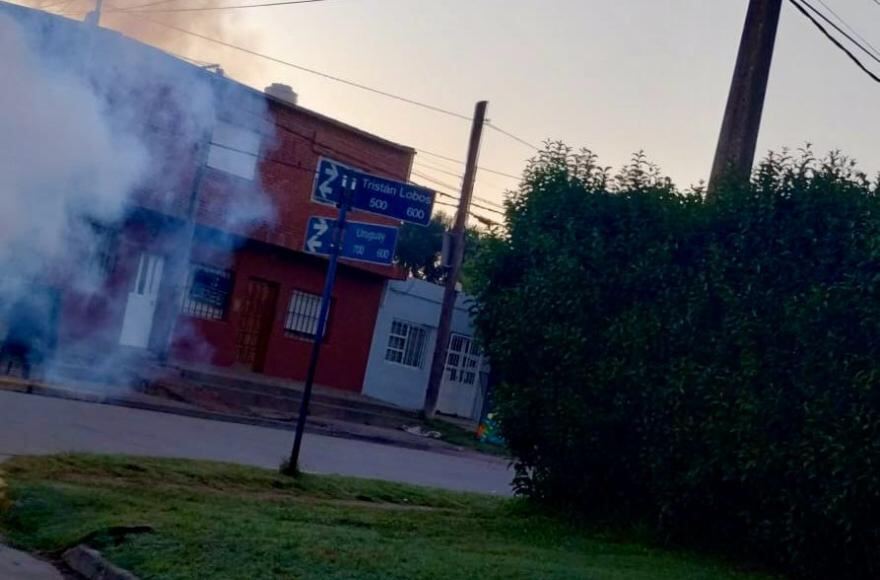 Salto: Continúa la fumigación y prevención en la ciudad