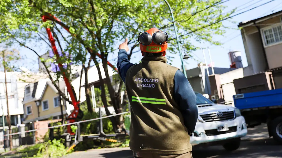 Vicente López: El municipio abrió la inscripción para los pedidos de poda