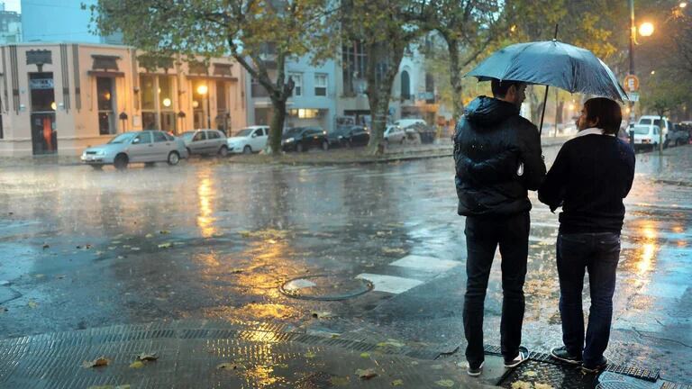 La Plata: Lluvias, anegamientos, calles inundadas y árboles caídos