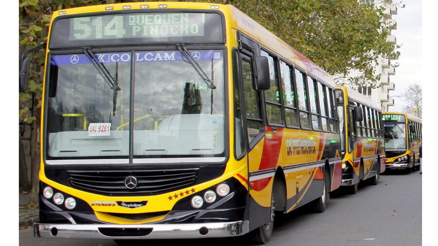 Necochea: El Concejo habilitó a las empresas de transporte a que fijen el valor del boleto