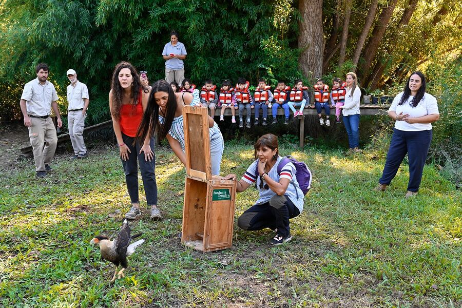 Tigre: Reinsertaron especies de fauna nativa en la Reserva Municipal Carapachay
