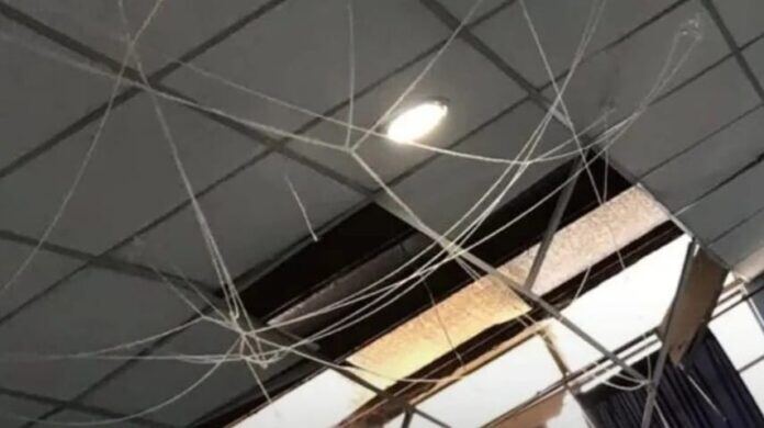 Daireaux: Se cayó el cielorraso de una escuela y hubo tres alumnos heridos