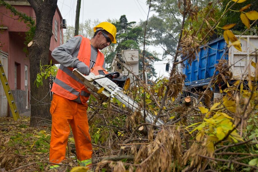 Quilmes: Continúan las tareas de poda correctiva en los barrios
