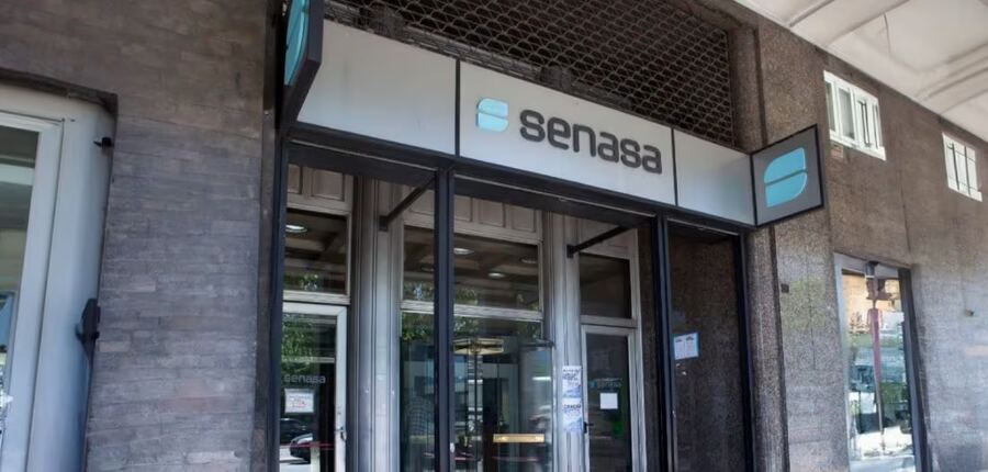 Se registraron 7 nuevos casos de Viruela del Mono