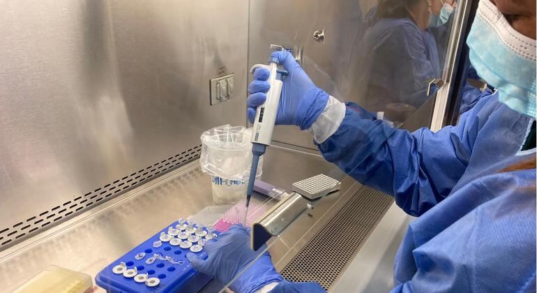 Se registraron 7 nuevos casos de Viruela del Mono