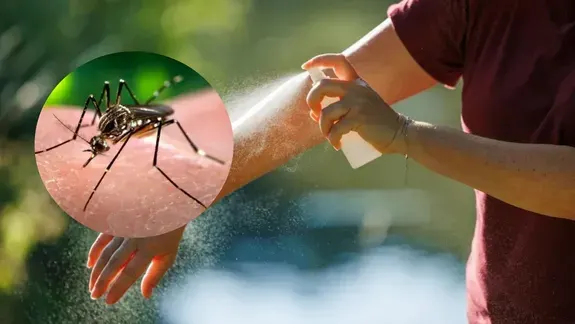 La Anmat prohibió una marca de repelente de mosquitos