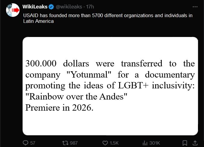 No podrán terminar una película sobre los indios gays del pueblo Mapuche por el cierre de USAID