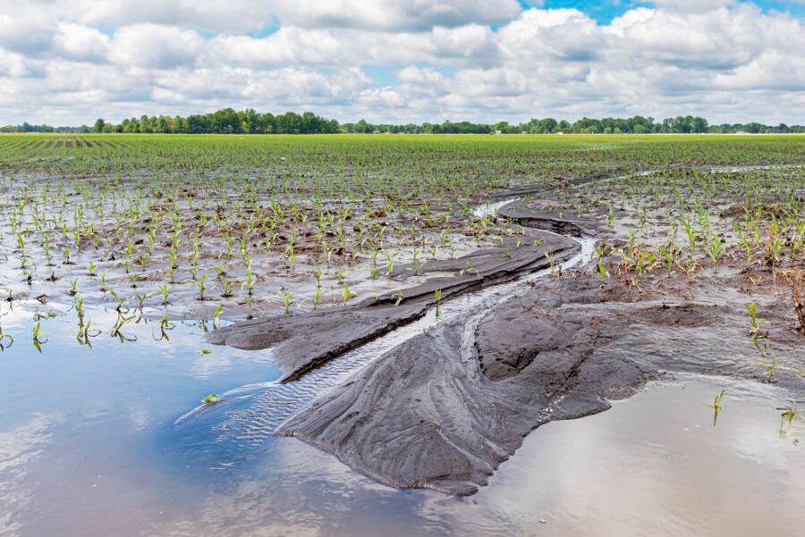 La Provincia exime del Impuesto Inmobiliario a campos afectados por inundaciones