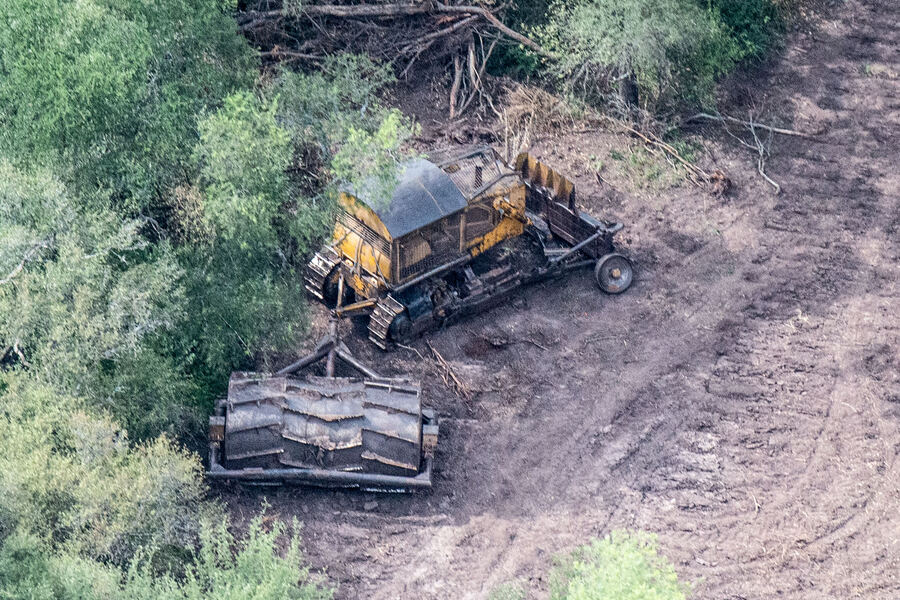 Chaco: La Justicia suspendió los desmontes pero continúa la destrucción