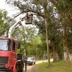 Necochea: Iluminan la ribera del Río Quequén con luces Led