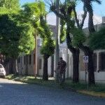 El intendente de la ciudad Pigüé salió a cortar el pasto y a juntar la basura del municipio