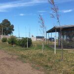 En Coronel Dorrego crece el asentamiento Los Eucaliptos pegado a Monte Hermoso