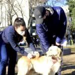 La Plata: Brindarán una jornada de vacunación antirrábica gratuita para mascotas en Abasto